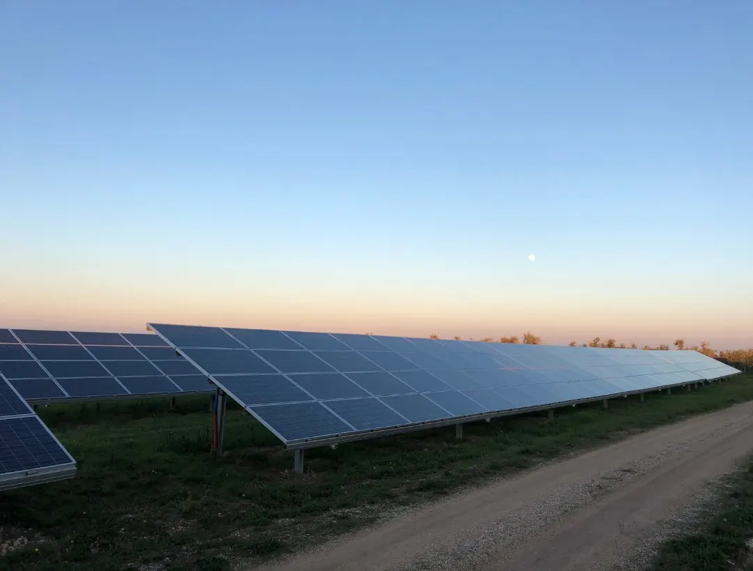Freiflächen-Photovoltaikanlage im Abendlicht
